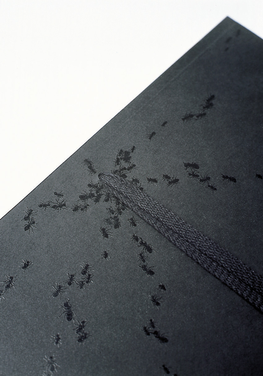 skizzenbuch ants ameisenbuch werkstatt hoeflich christian haas